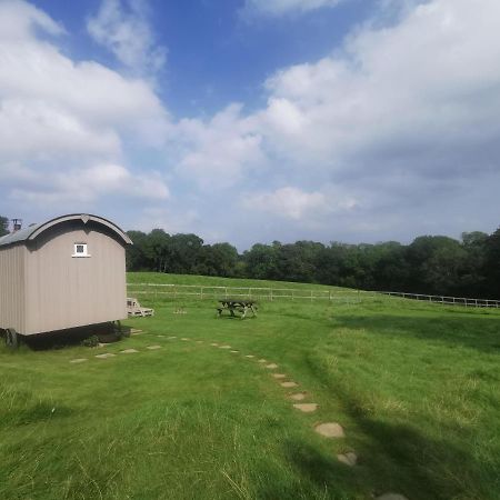 Frant Molly Dishwasher Shepherds Hut מראה חיצוני תמונה